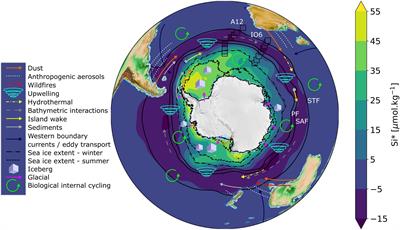 Changing Biogeochemistry of the Southern Ocean and Its Ecosystem Implications